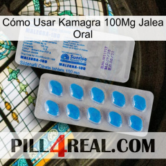 Cómo Usar Kamagra 100Mg Jalea Oral new15